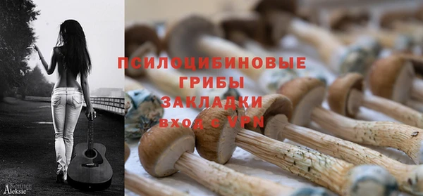 молекула духа Балабаново