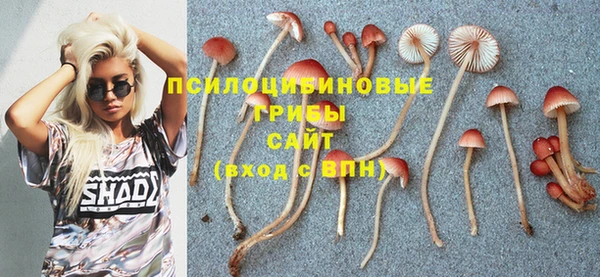 COCAINE Баксан