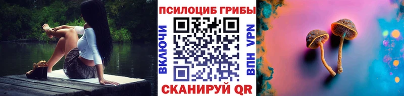Псилоцибиновые грибы прущие грибы  Солигалич 