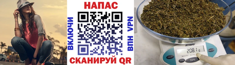 OMG как войти  цена наркотик  Солигалич  Конопля индика 